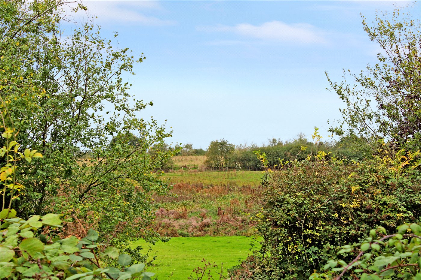 Field Views